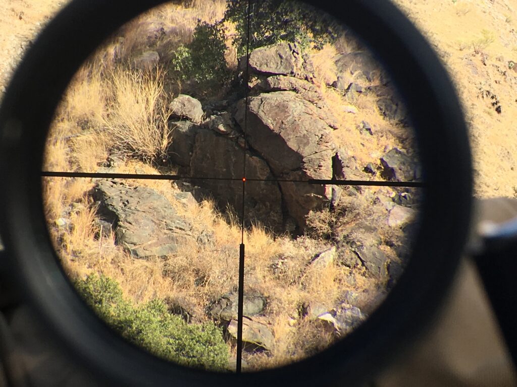 View through a scope with crosshairs and a red dot, showing a rocky, dry landscape with a camouflaged wild cat among the rocks and grass.