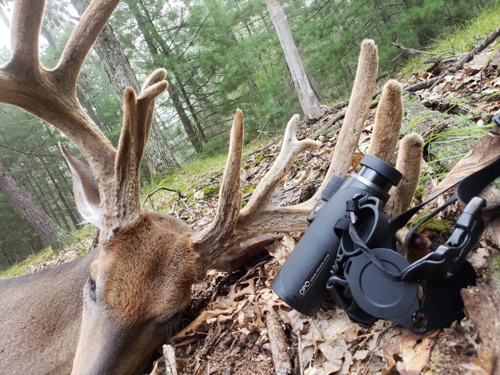 A deer with large velvet antlers and a pair of black binoculars on a forest floor.