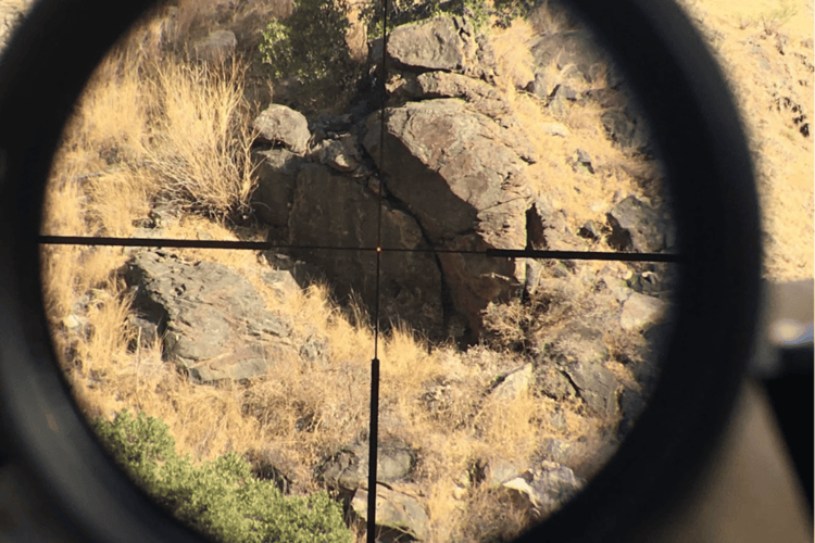 View through a scope with crosshairs and a red dot, showing a rocky, dry landscape with a camouflaged wild cat among the rocks and grass.