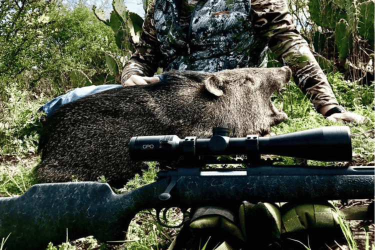 Man hunting medium-game pig with GPO Rifle Scope