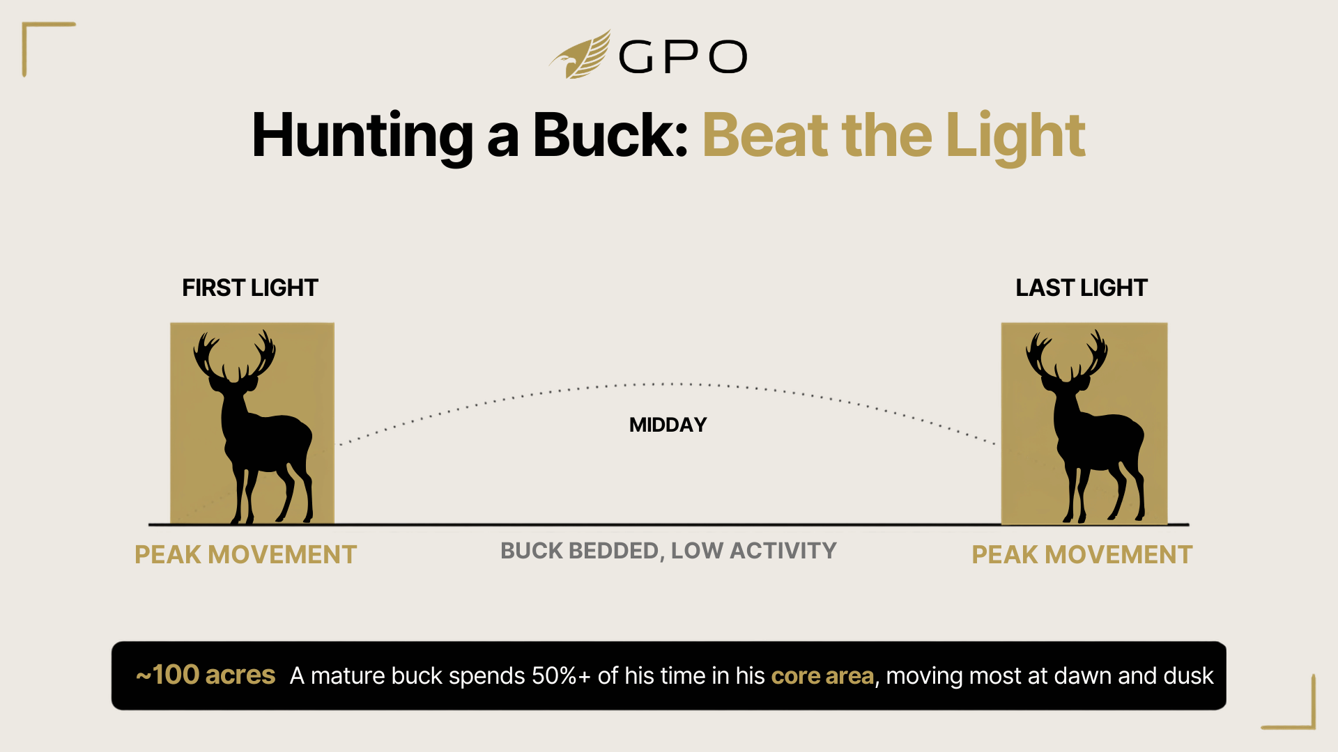 When to hunt deer to beat the sun infographic