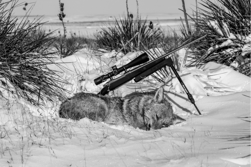GPO Passion scope showcased with big game hunting in the snow